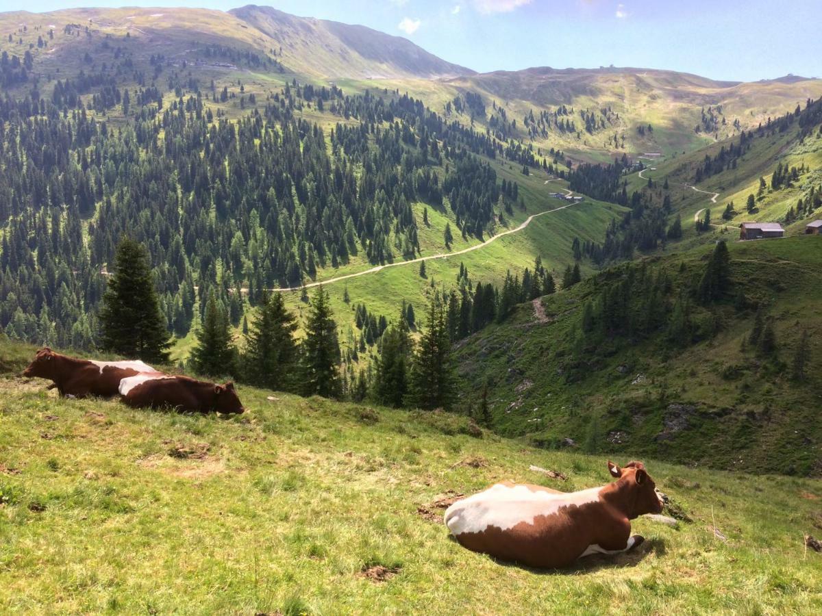 Апартаменты Wagnerhaeusl Брамберг-ам-Вильдкогель Экстерьер фото